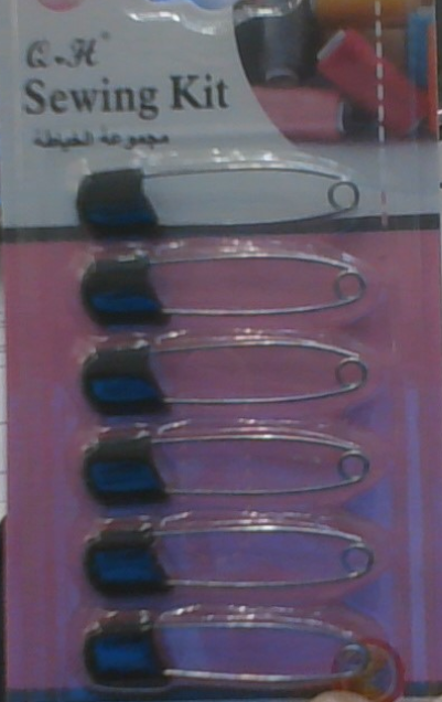 Saree Pins